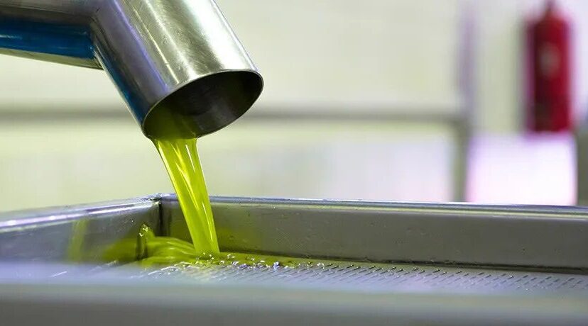 Extracción en frío del aceite de oliva
