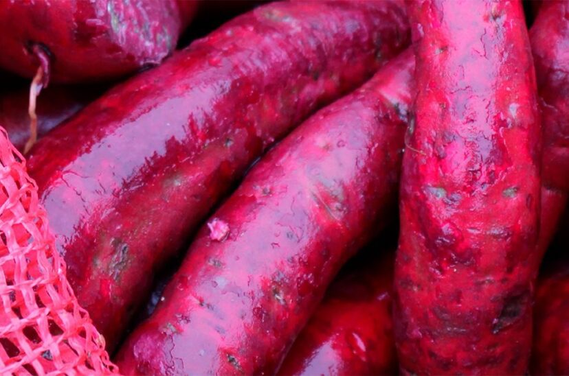 Batata
