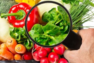 Inocuidad-de-los-alimentos