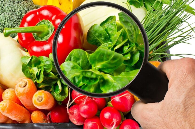 Inocuidad-de-los-alimentos