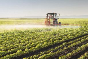 cadenas de suminsitro agrícolas