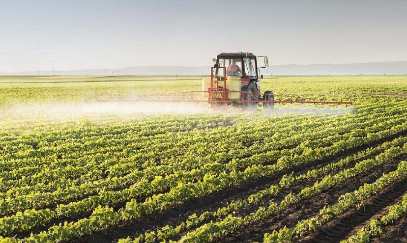 cadenas de suminsitro agrícolas