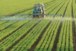 Agricultura, un actor importante para fortalecer la producción de alimentos