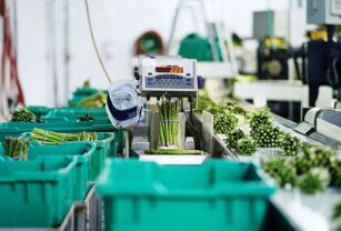 Food-Warehouse-Warehouse-Asparagus-Distribution-Warehouse_iStock_752x394-garantizar la seguridad alimentaria