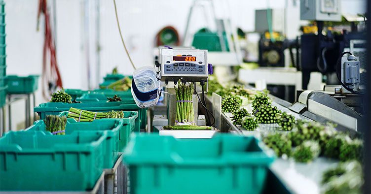 Food-Warehouse-Warehouse-Asparagus-Distribution-Warehouse_iStock_752x394-garantizar la seguridad alimentaria