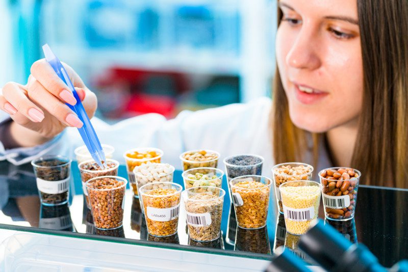 Analisis sensorial en cerelaes