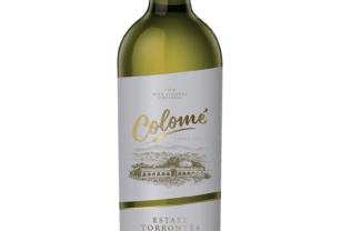 vino torrontes