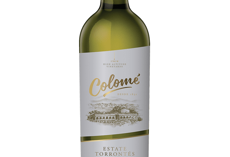 vino torrontes
