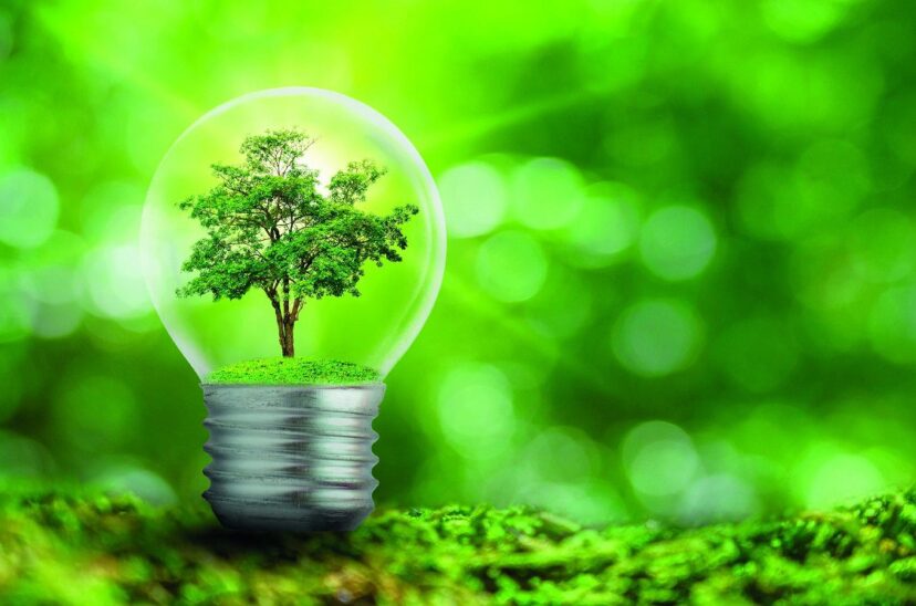 sustentabilidad