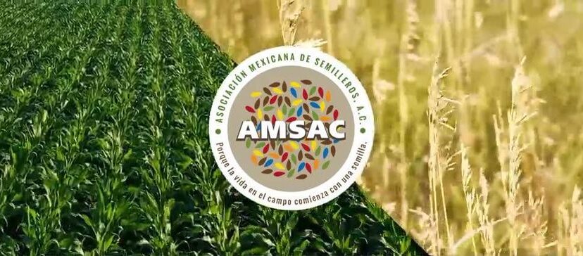 AMSAC