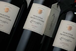 vino-argentino