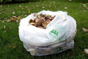bolsas-compostables