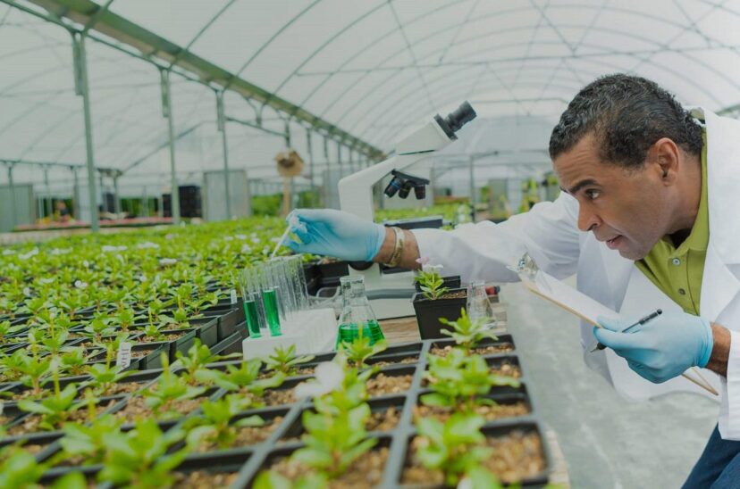 mejoramiento genético de alimentos