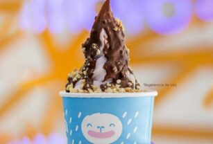 Helados Moyo
