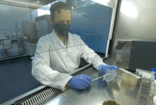 desarrollan antimicrobianos para envases