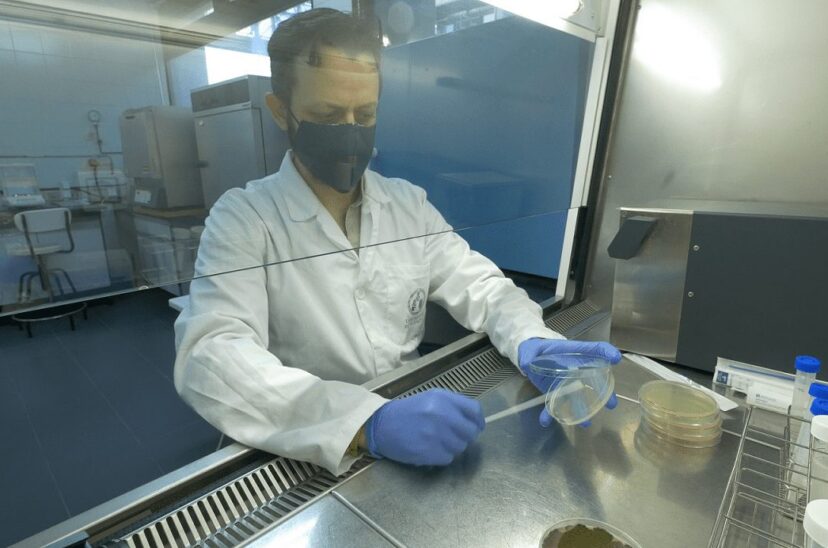 desarrollan antimicrobianos para envases