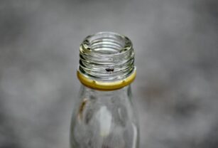industria-alimentos-y-bebidas