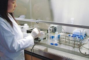 Biosensores