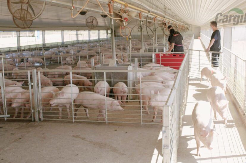 Cargill 1