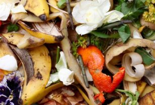 Food Upcycling