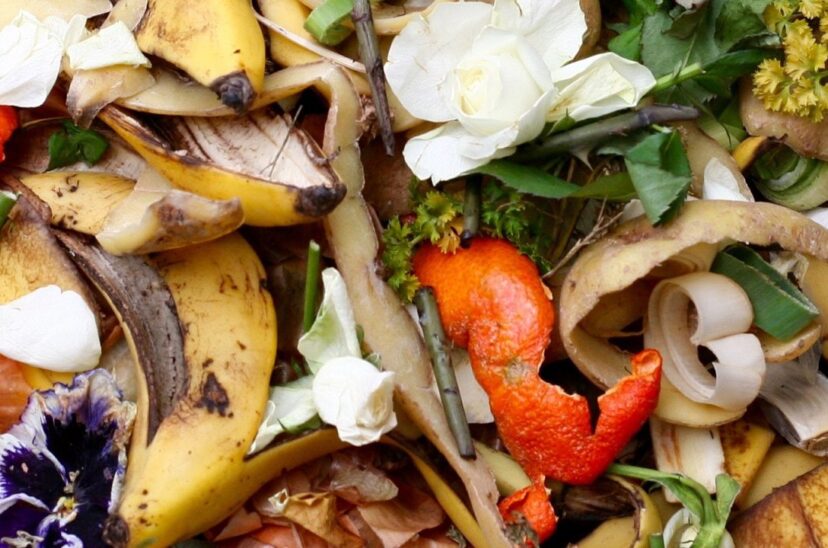Food Upcycling