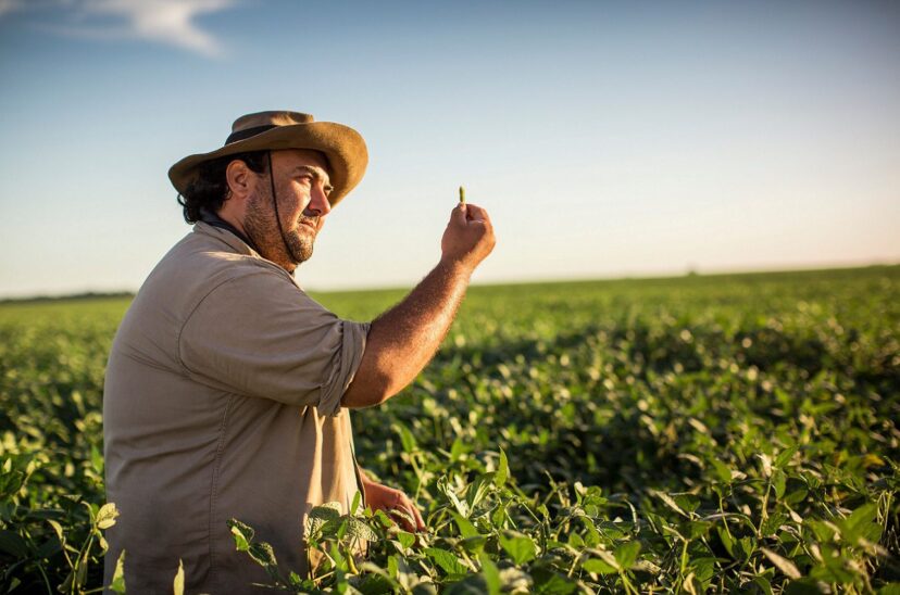 Syngenta-tecnología