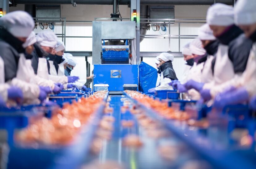 cadena-de-sumin istro-alimentaria