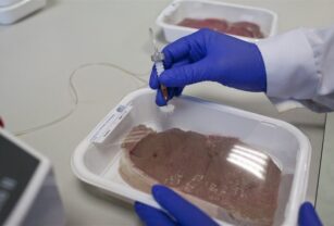 envase-para-frenar-desperdicio-alimentos