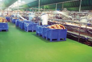 pavimiento higiénico