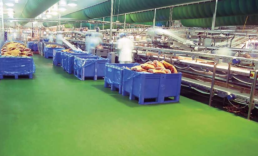 pavimiento higiénico