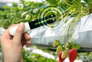 tecnología-alimentaria