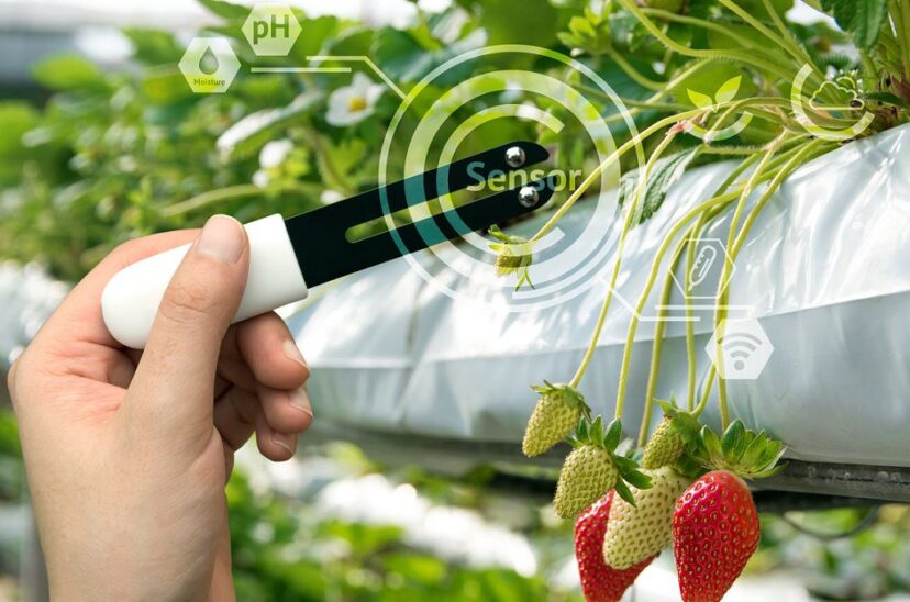 tecnología-alimentaria