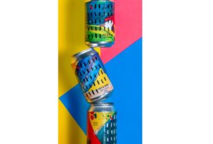 Cerveza artesanal en lata