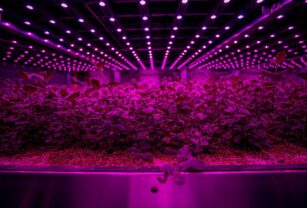 Future Crops vertical farm 1