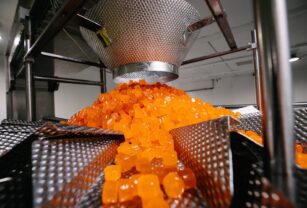 TopGum