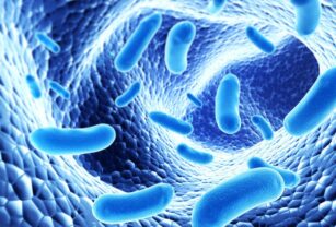 bacterias lácticas