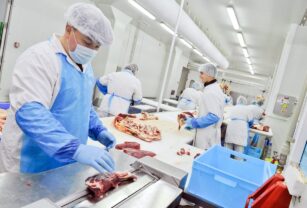 desinfección en la industria cárnica