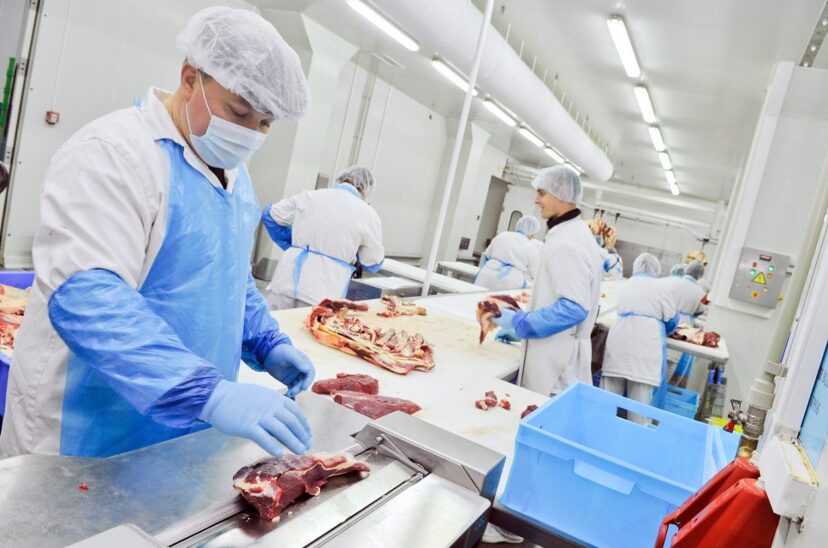 desinfección en la industria cárnica