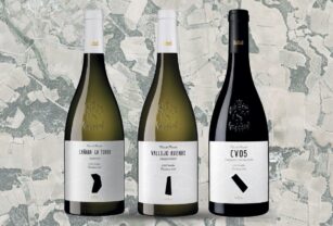 vinos en botella elegante