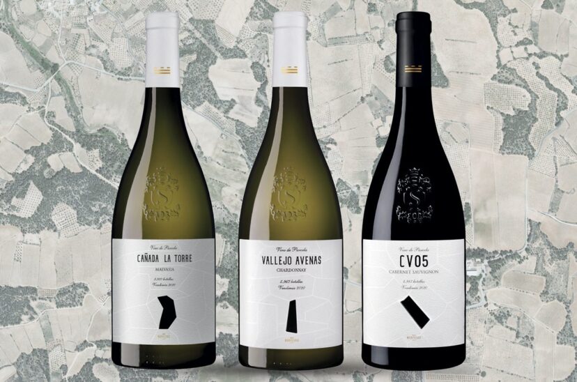 vinos en botella elegante