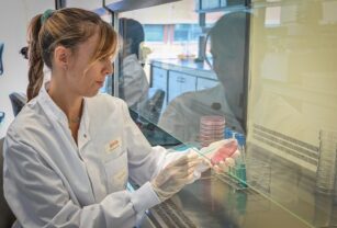 investigación-alternativas-de-proteínas