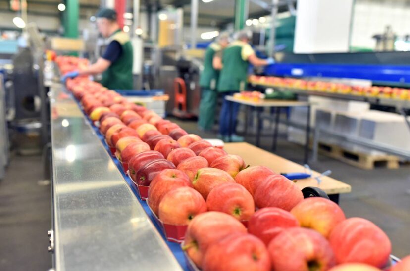 logistica-de-alimentos