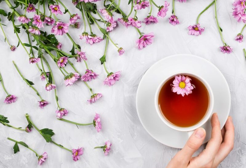 magical botanicals