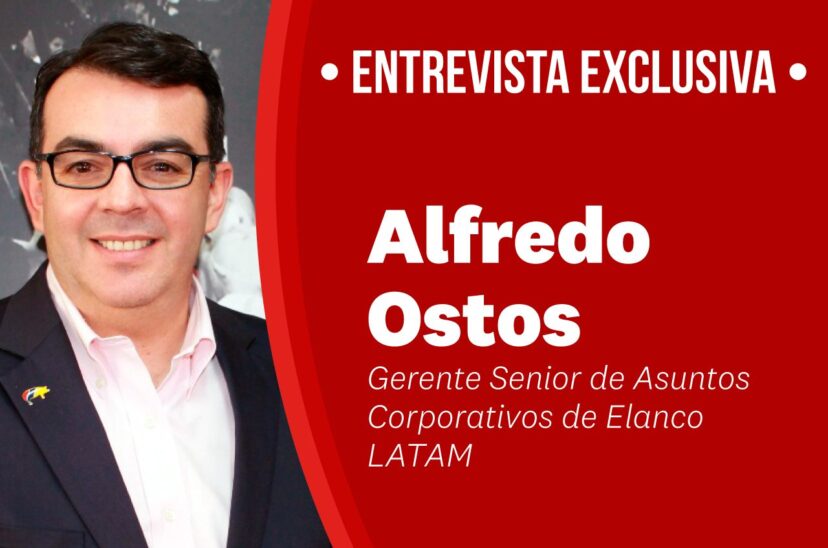 seguridad-alimentaria