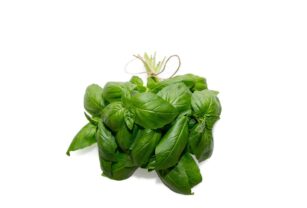 Albahaca
