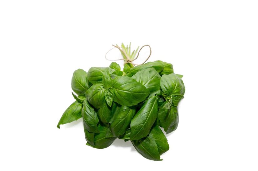 Albahaca