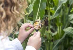 Las tendencias indican que cada día es más requerido demostrar controles de inocuidad alimentaria.