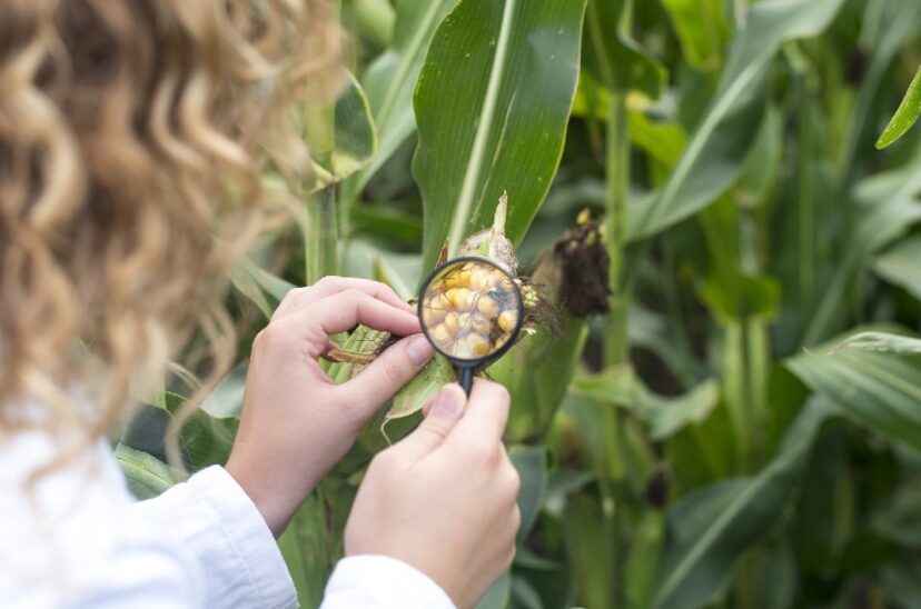 Las tendencias indican que cada día es más requerido demostrar controles de inocuidad alimentaria.