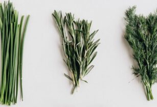 Protocolo de preparación de muestras-seguridad alimentaria
