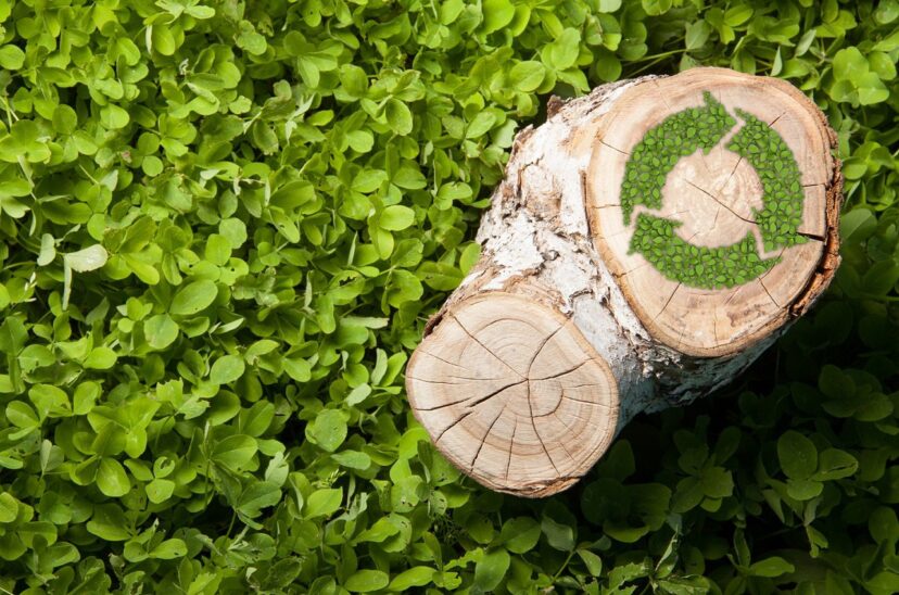 economia_circular1